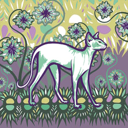 00Siam cat