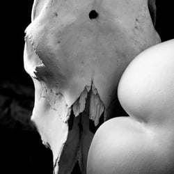 Fine Art Nudes