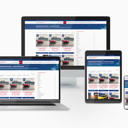 Wordpress Theme-Entwicklung für drive in motion