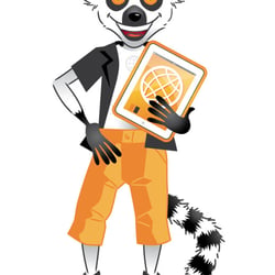 Travel Lemur