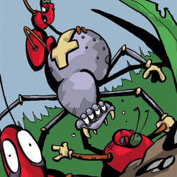 ameisen vs spinne