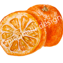 Bitterorange