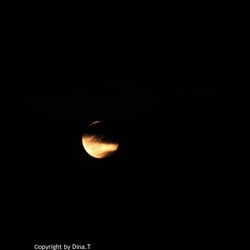 Moon – Jun. 2014 © by Dina.T