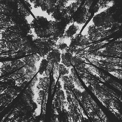 LM 0068 Villa La Angostura, Neuquén, Februar 1989