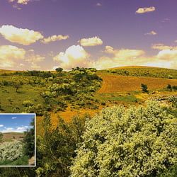 Landschaft (Yozgat/Türkei)