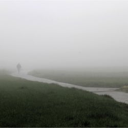 alleine im Nebel