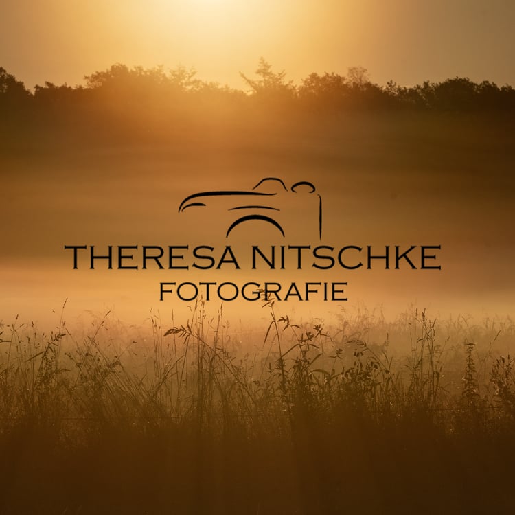 Theresa Nitschke