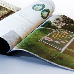 Mitarbeitermagazin für betreutes Wohnen und Landbau