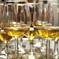 Grappa-Symphonie