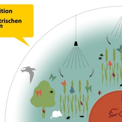 Ecosystem 2