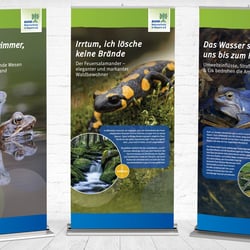 Bund Naturschutz Wanderausstellung Amphibien