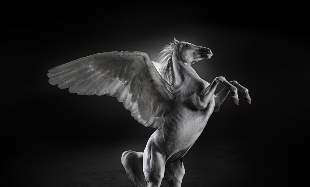 PEGASUS