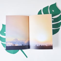 surfing on feelings – Innenseiten