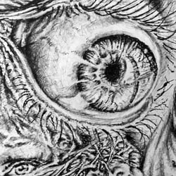 eye detail