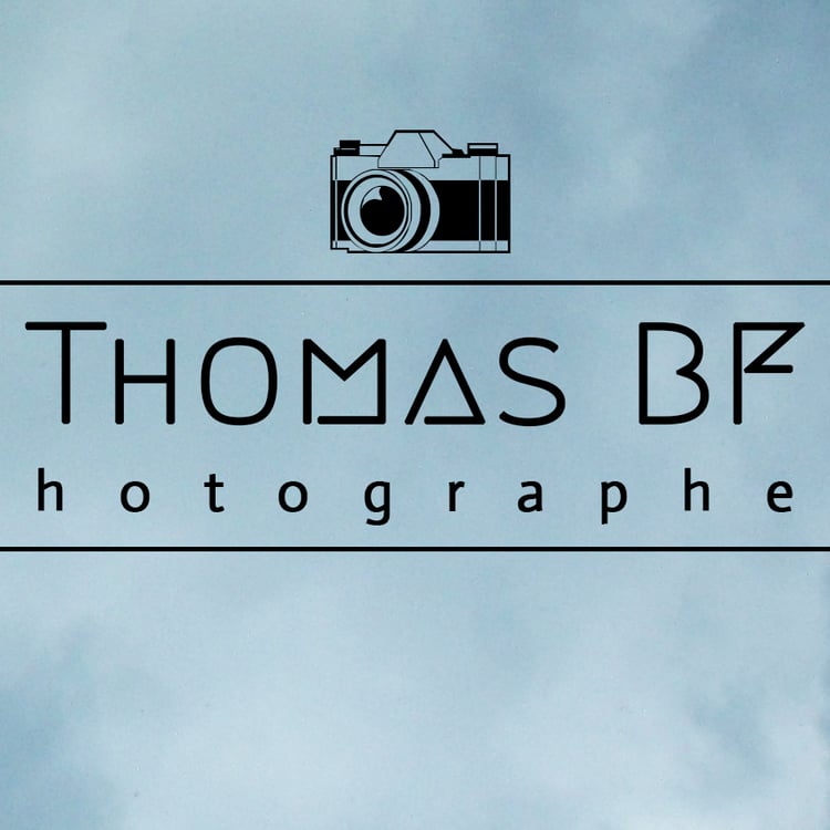 Thomas Borrmann Figueiredo