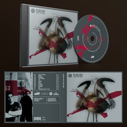 CD Cover Artwork, CD Cover Design, Flatline „Enjoy the Noise“ Koblenz