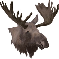 Moose Elch