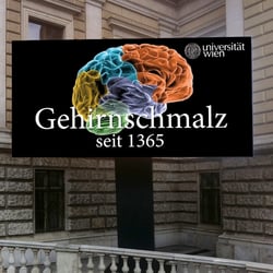 Display Universität Wien
