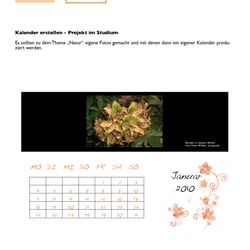 Assistent of Design12