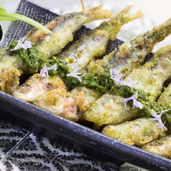 Styling, Kochen und Foodaufnahmen – für alle zubereiteten Gerichte sind auch die Rezepte verfügbar.
