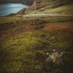 Wander Tourismus Content Creation Madeira