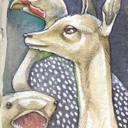 Taxidermy-06