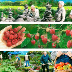ProAlter „Green Care“ / Innenillustrationen