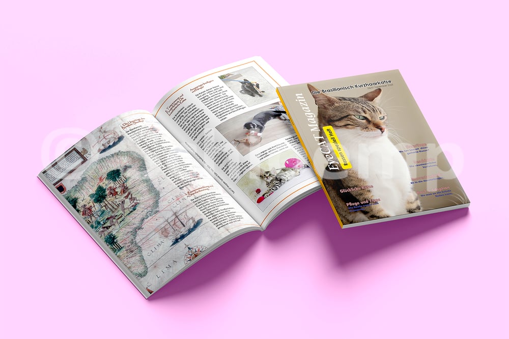 Ein fiktives Magazin mir einer meiner Lieblingsthemen.
