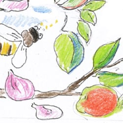 Illustration für Streuobstwiese
