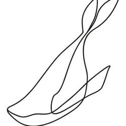 Whale