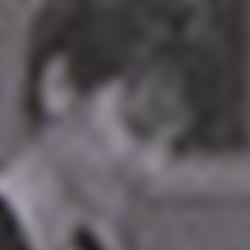 Yearbook Of Type II 64
