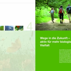 Masterplan-Innen-3