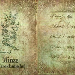 Minze