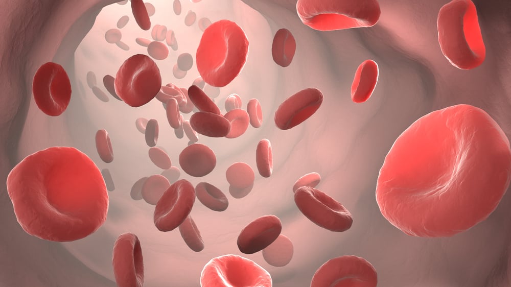 red blood cells