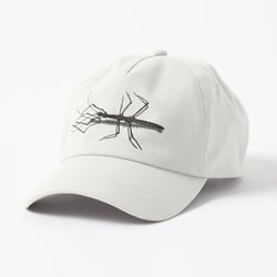 Stabheuschrecke auf dad-hat