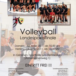 Flyer Volleyball Landespokalfinale