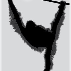 poster*