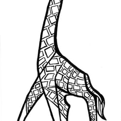 Giraffe-web