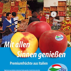 Entwurf Anzeigenlayout
