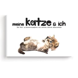 Katze