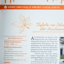 Weinviertel Tourismus, NOE – Corporate Design – Detail Illustration