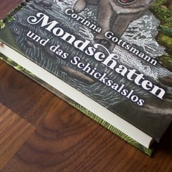 Buchcover – Mondschatten und das Schicksalslos von Corinna Gottsmann