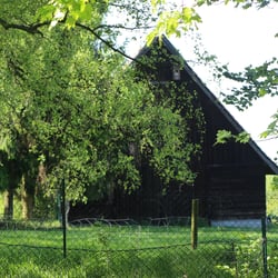 Natur