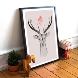 Deer