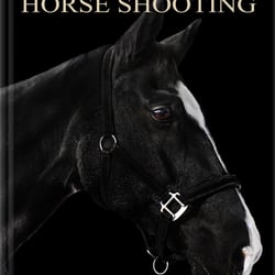 horse shooting