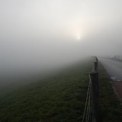 DSCN3556