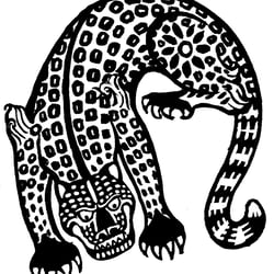 Panther