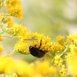 Nature 2014 Foto Übung