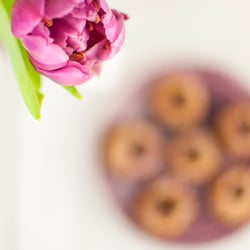 Mini-Guglhupf mit Honig & Haselnüssen