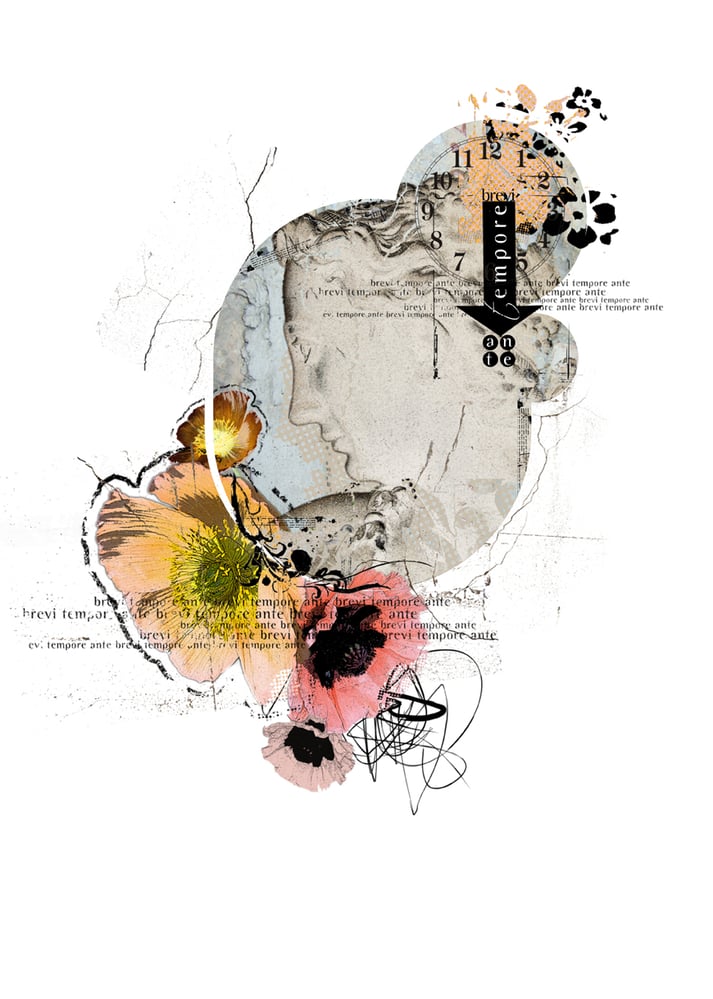 Illustrationen: Blumen